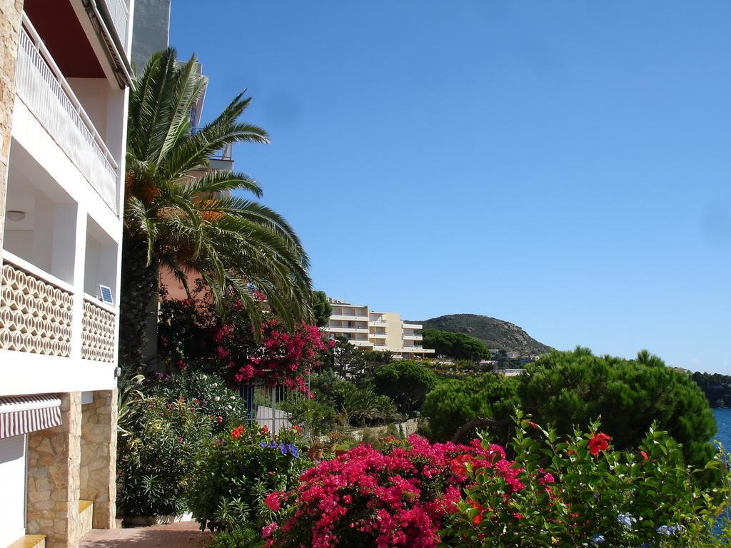 Belvedere Appartement